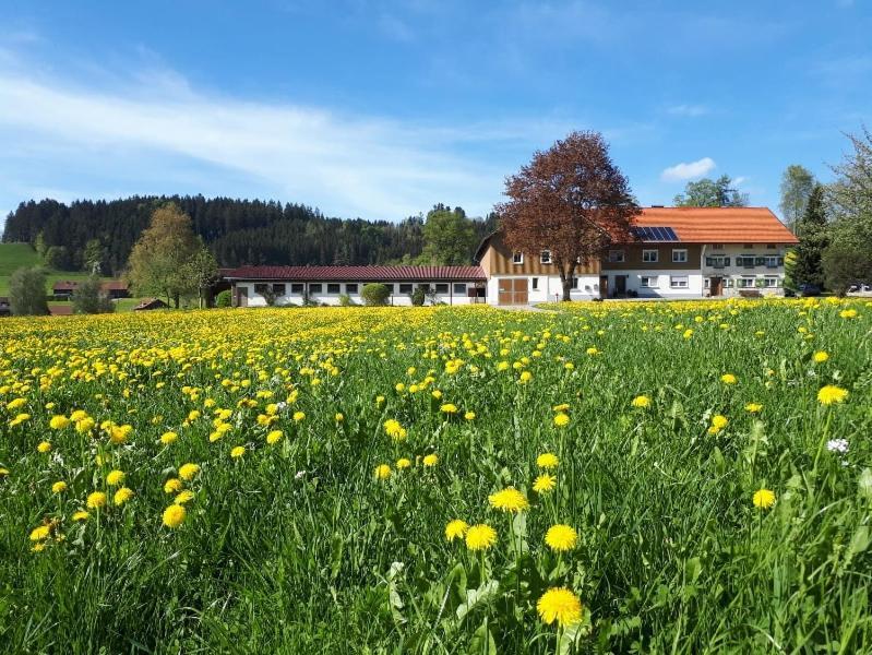 Ferienhaus Rasch Маєргефен Екстер'єр фото